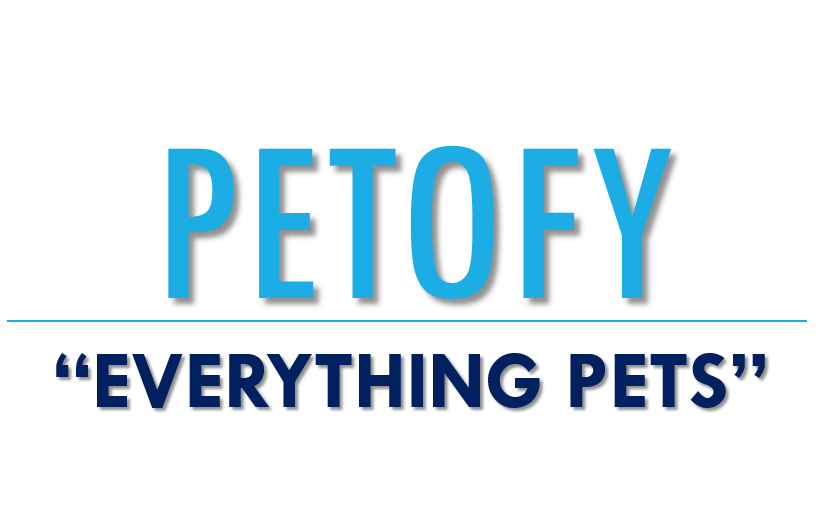 Welcome to Petofy – Everything For Pets