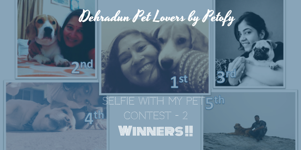 Selfie With Pets – Contest by Petofy