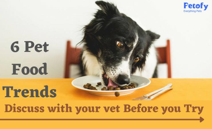 6 Pet Food Trends to Discuss With Your Vet Before You Try