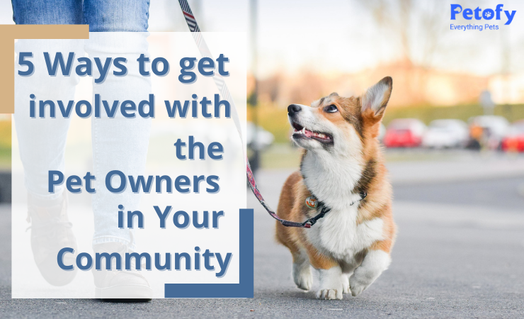 5 Ways to Get Involved With The Pet Owners in Your Community