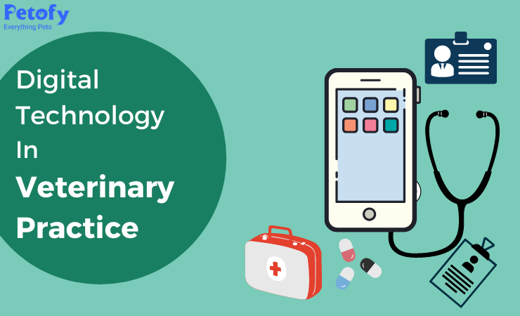 Digital Technology in Veterinary Practice
