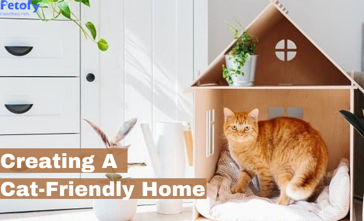 Creating A Cat-Friendly Home