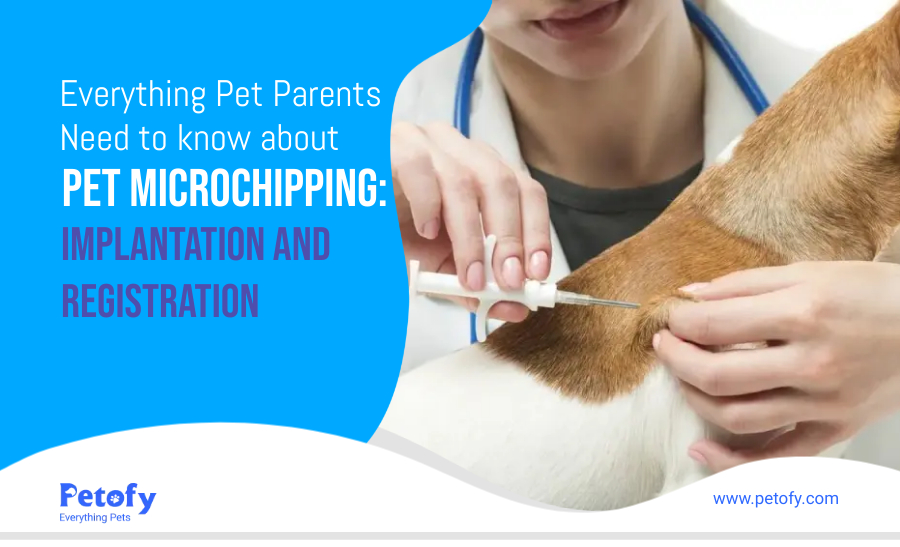 Pet Microchipping: Implantation and Registration