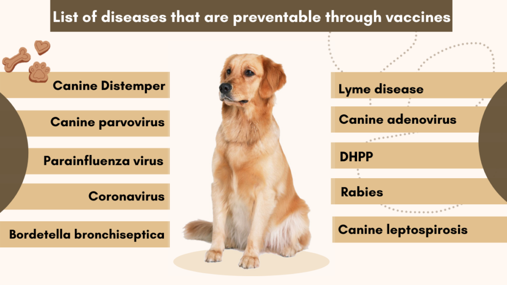 Why vaccination must for pet