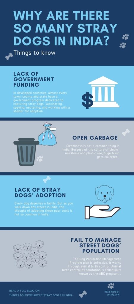 Reasons why there are so many stray dogs in India