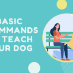 11 Basic Dog Training Commands For Your Pet