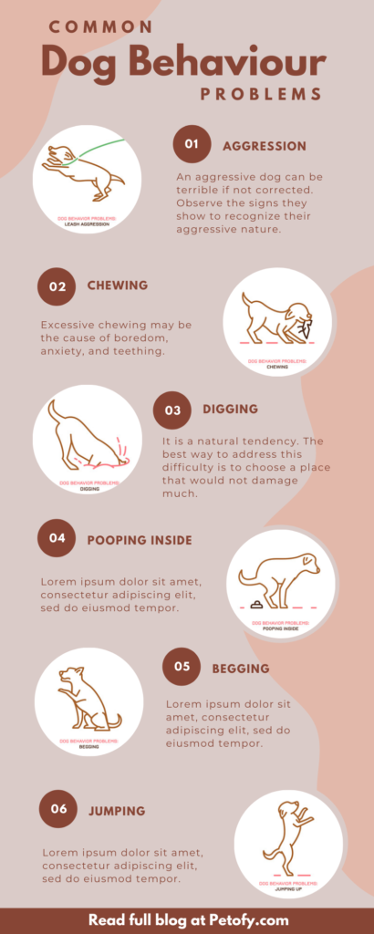 Common Dog Behavior problems and solution