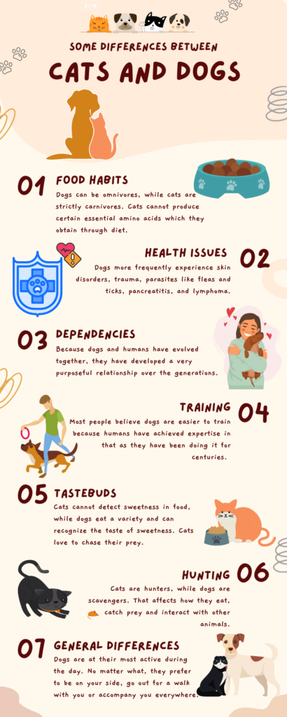 Difference between Cat & Dog