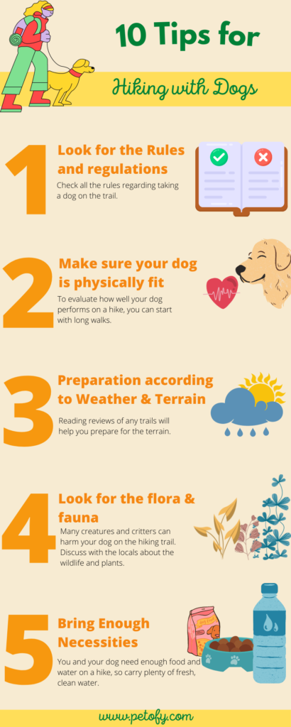 Tips for Hiking With Your Dog Infographic