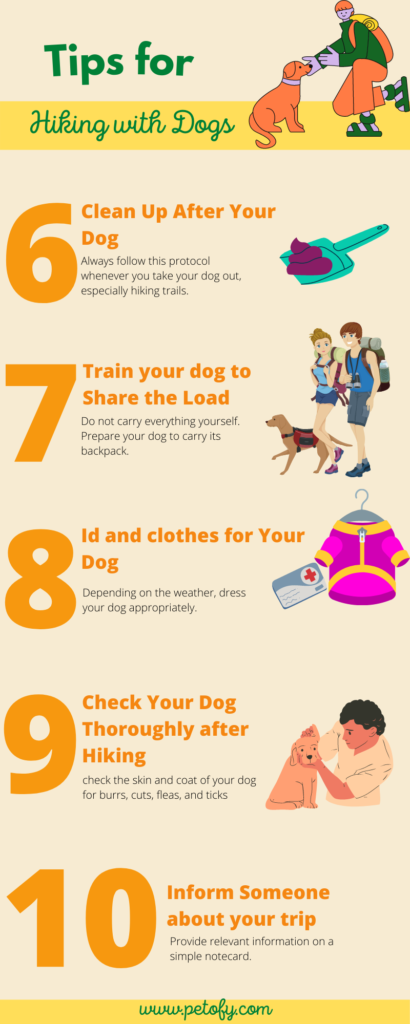 Tips for Hiking With Your Dog Infographic 1