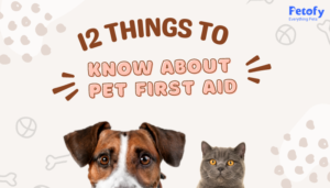11 Things To Know About Pet First Aid Kit