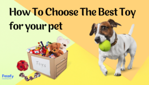 Types of Dog Toys And How To Choose The Best Toy For Your Pet