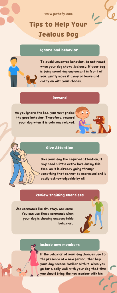Tips to Help Your Jealous Dog