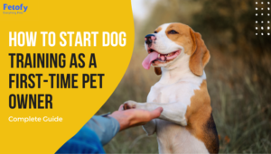 How To Start Dog Training As A First-Time Pet Owner