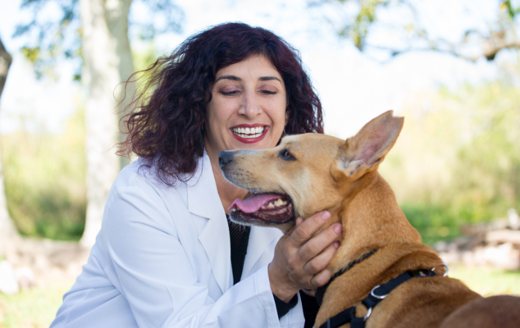 Jealous behavior in Dogs