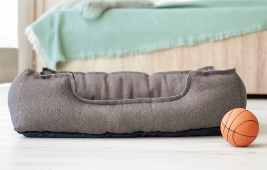 Mini Great Dane Bed and Toy 