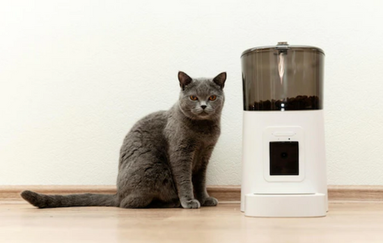 Automatic cat feeder machine