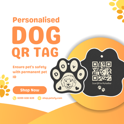 petofy personalised qr code dog tag