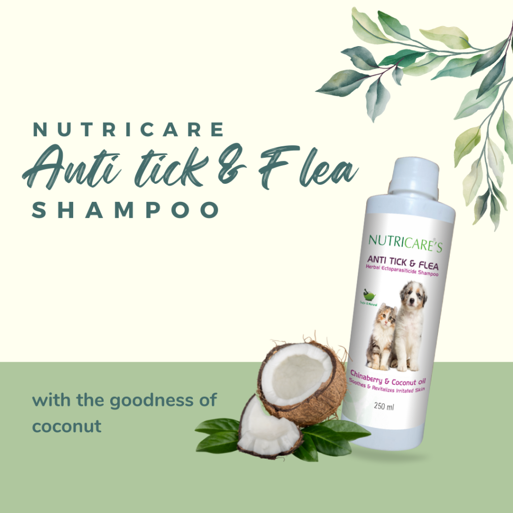 Nutricare Anti Tick & Flea Shampoo