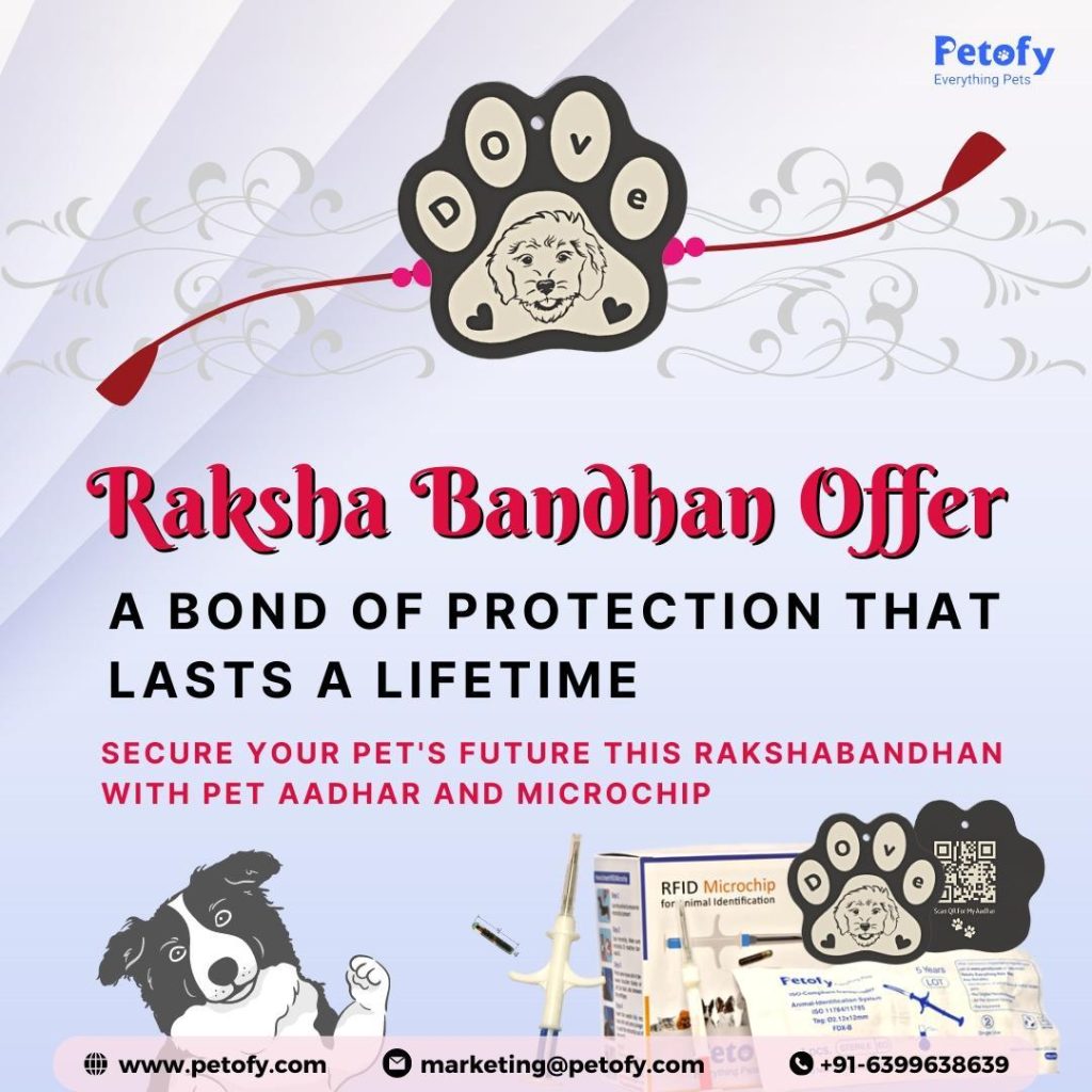 Banner Image for Raksha Bandhan Offer