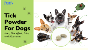 Tick Powder For Dogs Uses, Side effect, Price, and Alternates