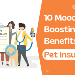 10 Mood-Boosting Benefits of Pet Insurance 