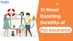 10 Mood-Boosting Benefits of Pet Insurance