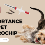 Microchip for Dogs India Learn, Buy and Register on Petofy