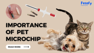 Microchip for Dogs India Learn, Buy and Register on Petofy