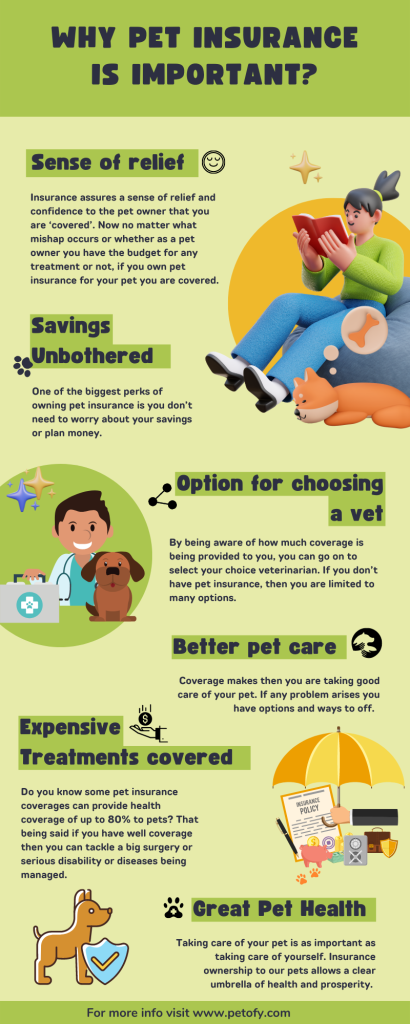 Important of Pet Insurance