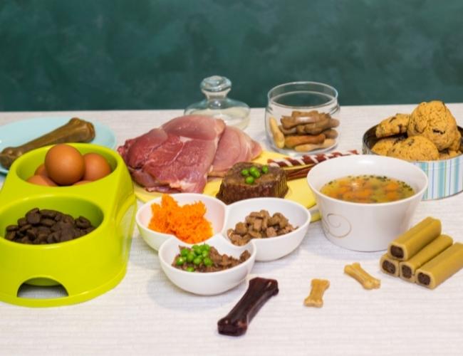 Feed your dog with a variety of ingredients