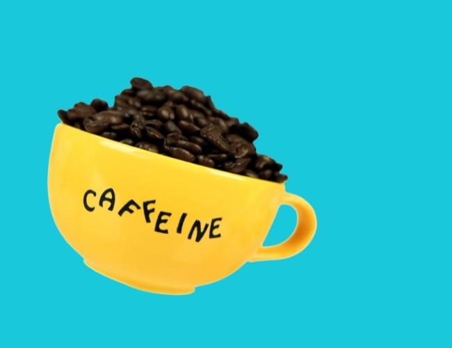 CAFFEINE is toxic for dogs