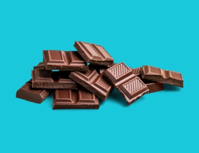Chocolate is toxic for dogs