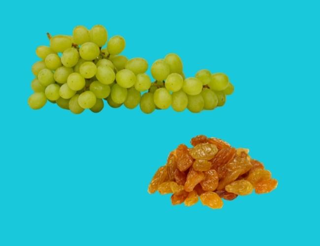 Don't feed GRAPES AND RAISINS to Your Dog