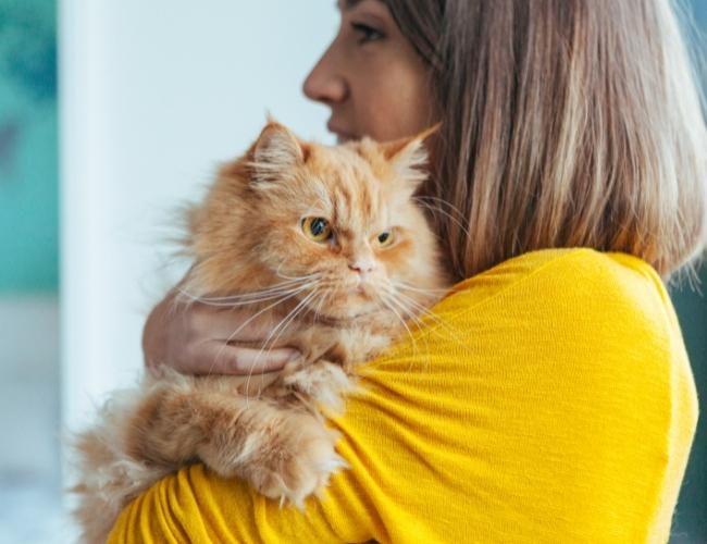 Pet Hair Care Tips
