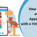 How to Book an Online Appointment with a Veterinary Doctor
