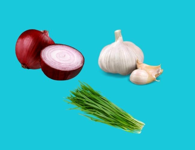 ONION(Maroon color), GARLIC(White color), AND CHIVES(Green color). These are toxic for dogs.