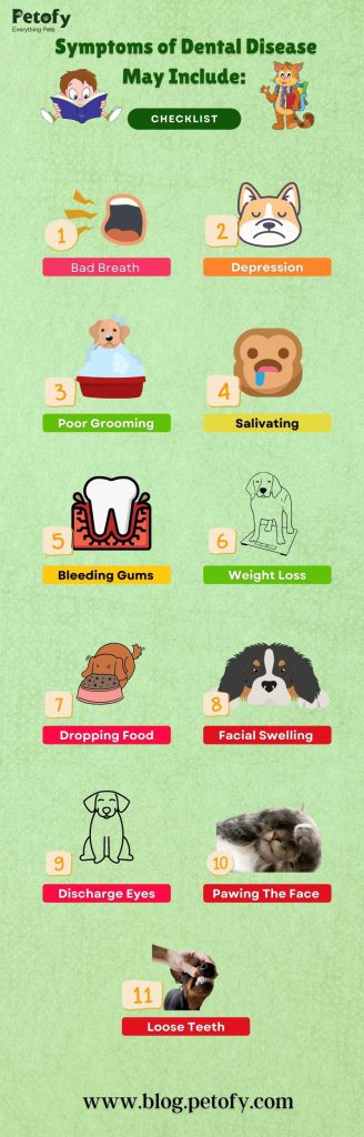 Oral hygiene in pets