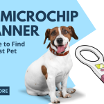 Pet Microchip Scanner – A Device to Find Your Lost Pet
