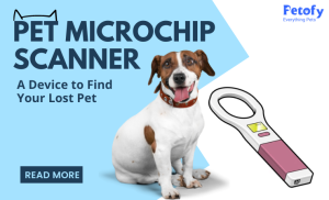 Pet Microchip Scanner – A Device to Find Your Lost Pet