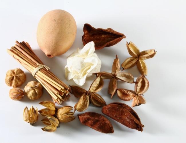 Potpourri