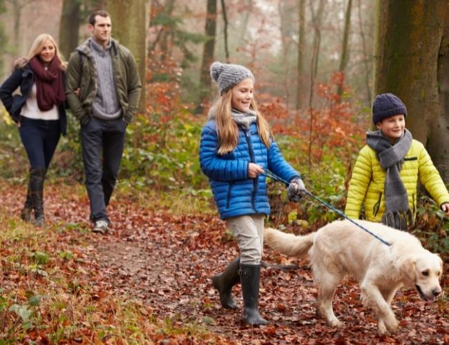 Kids and Parents and Dog Going For A walk