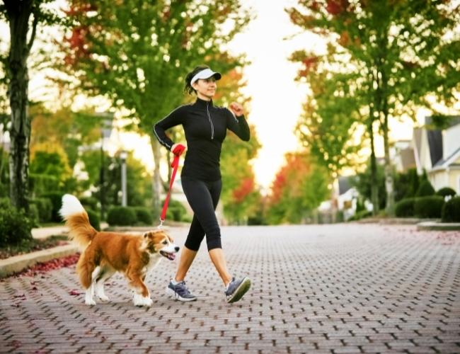 A Black Dress Girl Walking With His Dog in The Morning