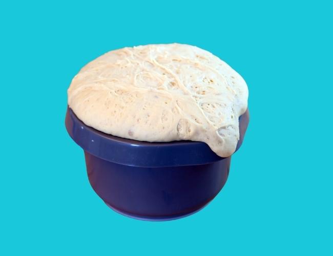 YEAST DOUGH in Blue Bowl