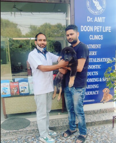 Dr-AMIT-DOON-PET-LIFE-ANIMAL-CLINICS-HOSPITALS-Dilaram-Chowk-Rajpur-Road-Dehradun