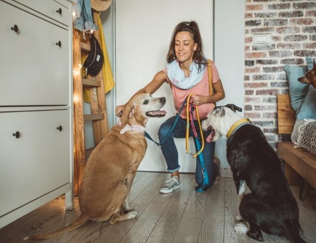 Get involved with Pet owners