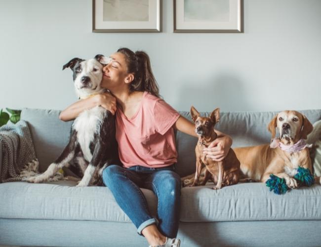 Get involved with Pet owners