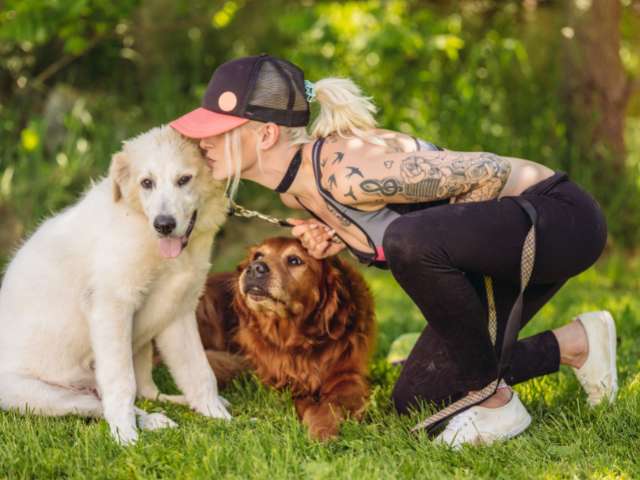 Lady Dog Trainer Teaching Name Recognition Command To German Shepherd Dog