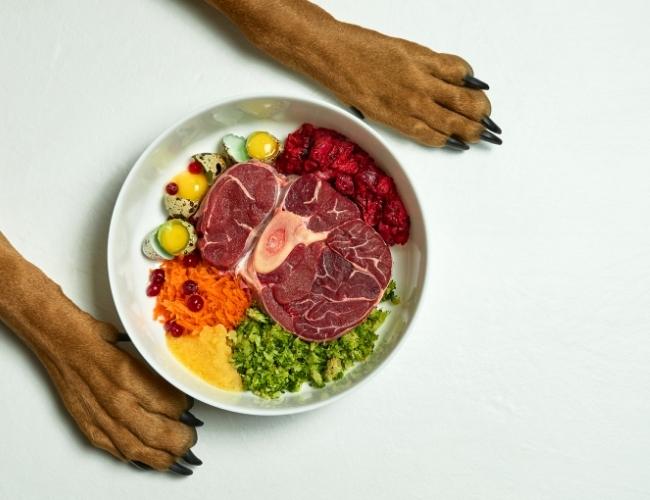 Raw Diet For dog