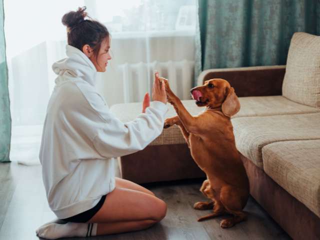 Lady Dog Trainer Teaching "Hi-Five To Dog